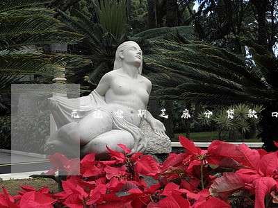 无视逾期芝麻分贷款口子 无视逾期芝麻分贷款口子