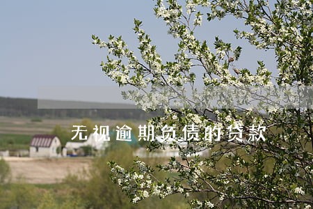 无视逾期负债的贷款 无视逾期负债的贷款