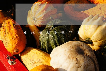 无视逾期贷款口子