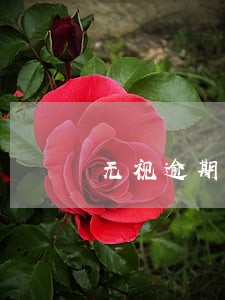 无视逾期黑户当天放款 无视逾期黑户当天放款