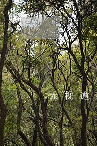 无视逾期黑户的贷款2018