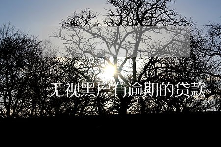 无视黑户有逾期的贷款 无视黑户有逾期的贷款