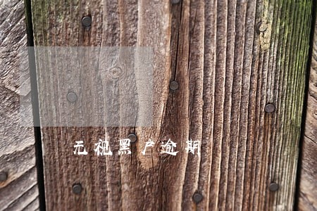 无视黑户逾期 无视黑户逾期