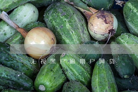 无视黑户逾期户网贷 无视黑户逾期户网贷