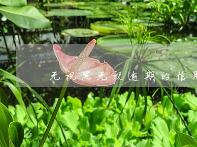 无视黑无视逾期的信用信卡 无视黑无视逾期的信用信卡