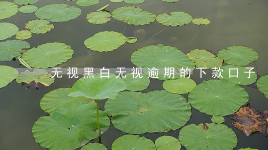无视黑白无视逾期的下款口子