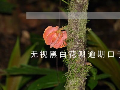 无视黑白花呗逾期口子 无视黑白花呗逾期口子