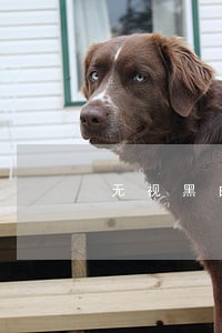 无视黑白逾期的口子平台 无视黑白逾期的口子平台