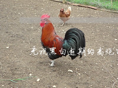 无视黑白逾期的高炮口子 无视黑白逾期的高炮口子