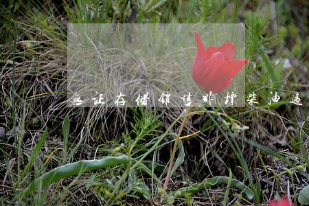 无证存储销售非标柴油违法 无证存储销售非标柴油违法
