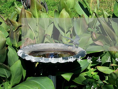 无证幼儿园承包违法吗 无证幼儿园承包违法吗