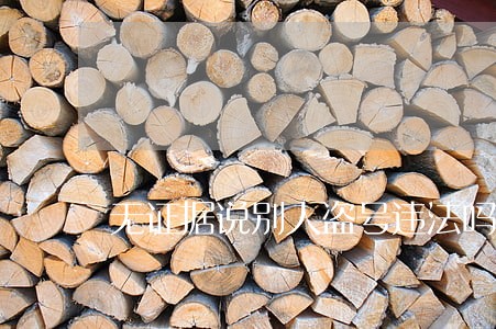 无证据说别人盗号违法吗 无证据说别人盗号违法吗