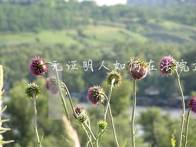 无证明人如何在法院立案 无证明人如何在法院立案