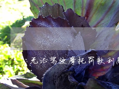 无证驾驶摩托罚款利息逾期怎么算 无证驾驶摩托罚款利息逾期怎么算