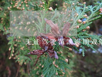 无证驾驶罚款逾期双倍罚款 无证驾驶罚款逾期双倍罚款