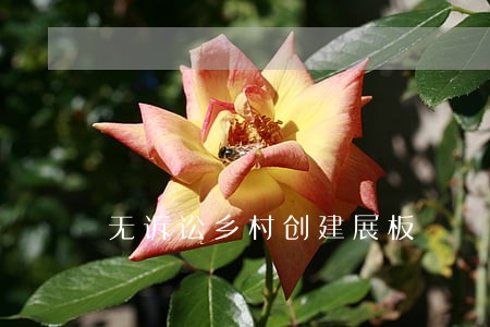 无诉讼乡村创建展板 无诉讼乡村创建展板