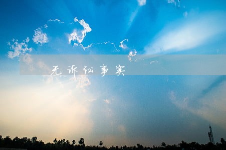 无诉讼事实 无诉讼事实