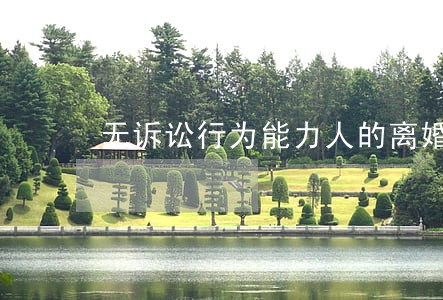 无诉讼行为能力人的离婚诉讼 无诉讼行为能力人的离婚诉讼