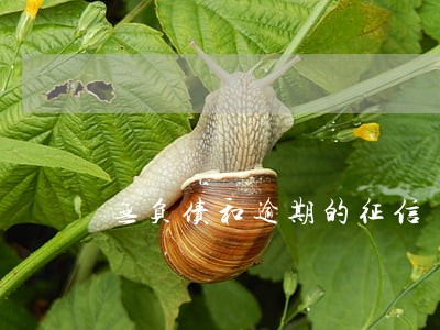 无负债和逾期的征信