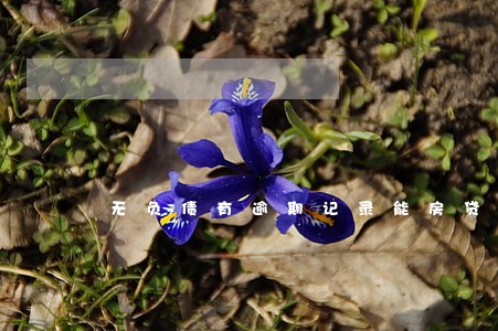 无负债有逾期记录能房贷吗 无负债有逾期记录能房贷吗