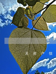 无资产信用卡逾期两年 无资产信用卡逾期两年