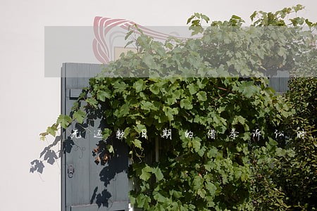 无还款日期的借条诉讼时效