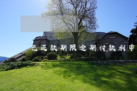 无还款期限逾期付款利率