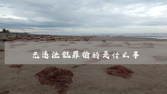 无违法犯罪指的是什么事 无违法犯罪指的是什么事