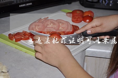 无违法犯罪证明可以亲属开吗