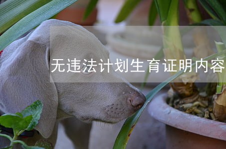 无违法计划生育证明内容范本 无违法计划生育证明内容范本