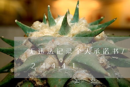 无违法记录个人承诺书/2023020424441 无违法记录个人承诺书/2023020424441