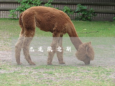 无连续逾期 无连续逾期