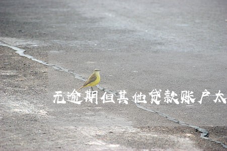 无逾期但其他贷款账户太多 无逾期但其他贷款账户太多