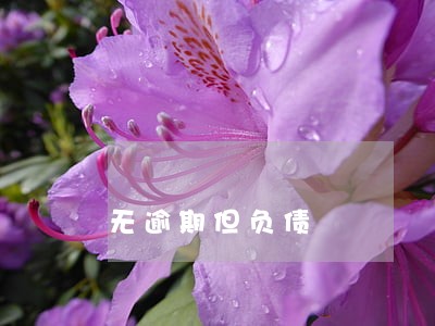无逾期但负债