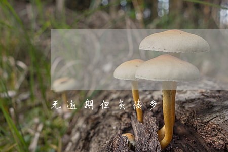 无逾期但负债多 无逾期但负债多
