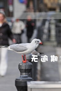 无逾期但负债高 无逾期但负债高