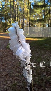 无逾期借呗没额度 无逾期借呗没额度