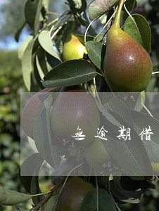 无逾期借呗突然关闭