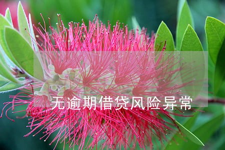 无逾期借贷风险异常 无逾期借贷风险异常