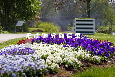 无逾期分期后果 无逾期分期后果