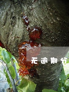 无逾期分期后果是什么意思 无逾期分期后果是什么意思