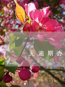 无逾期办理信访事项 无逾期办理信访事项