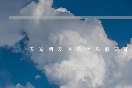 无逾期及违约信息概要能贷款 无逾期及违约信息概要能贷款