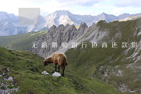 无逾期和银行协商还款影响征信吗 无逾期和银行协商还款影响征信吗