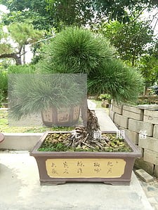 无逾期备用金无法使用 无逾期备用金无法使用