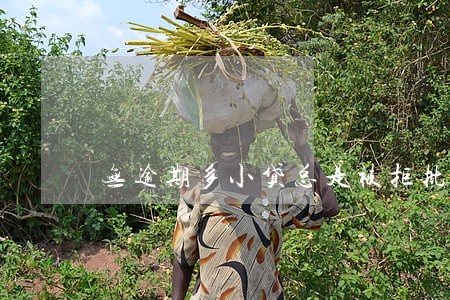 无逾期多小贷总是被拒批 无逾期多小贷总是被拒批