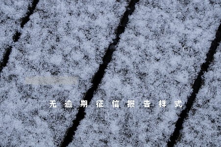 无逾期征信报告样式 无逾期征信报告样式