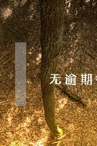无逾期征信查询次数过多怎么办 无逾期征信查询次数过多怎么办