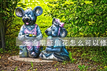 无逾期征信花怎么可以修复 无逾期征信花怎么可以修复