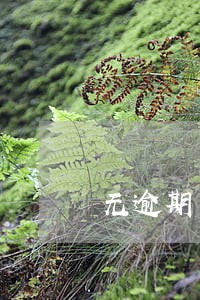 无逾期怎么就黑户了 无逾期怎么就黑户了